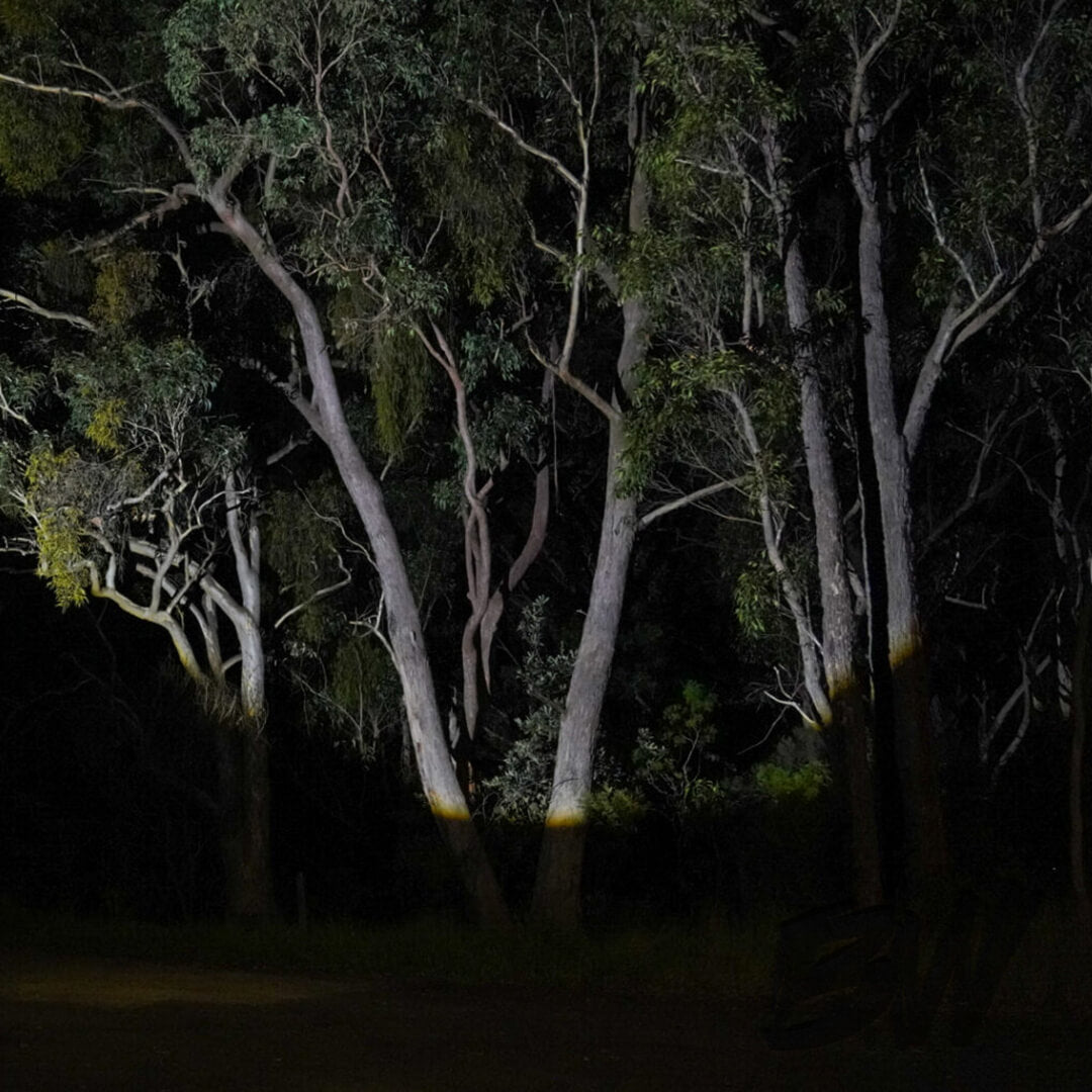 Outdoor Torch LED Flashlight