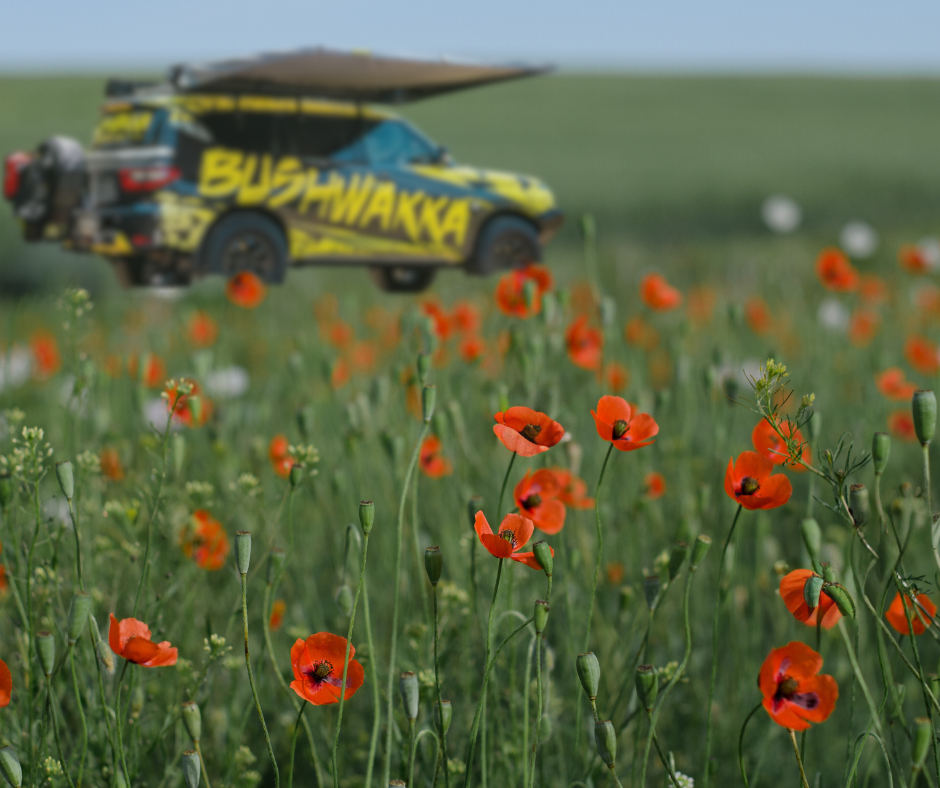 ANZAC Day Tributes at Historic Campgrounds