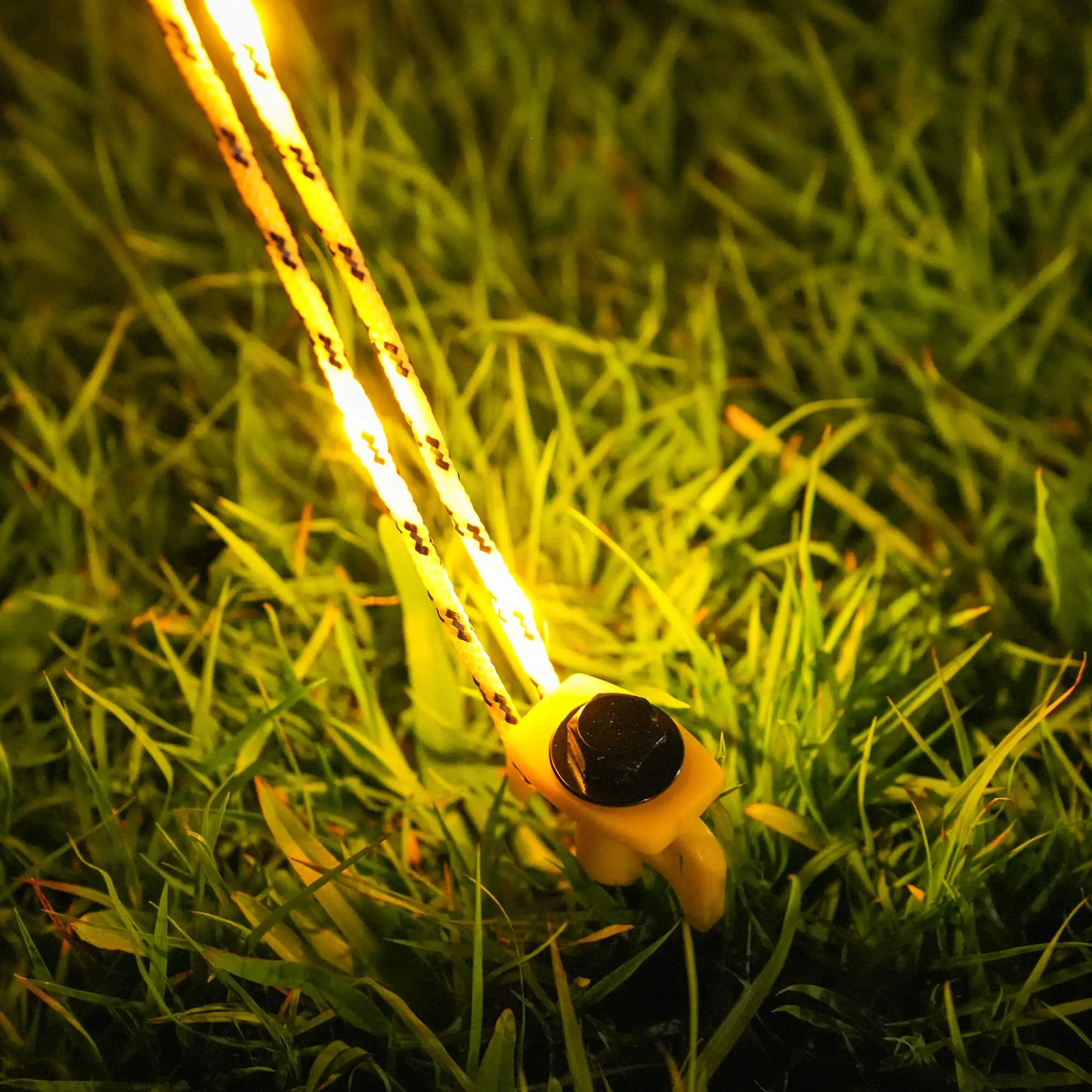 Bushwakka LED Guy Rope – Solar Powered (Pair)