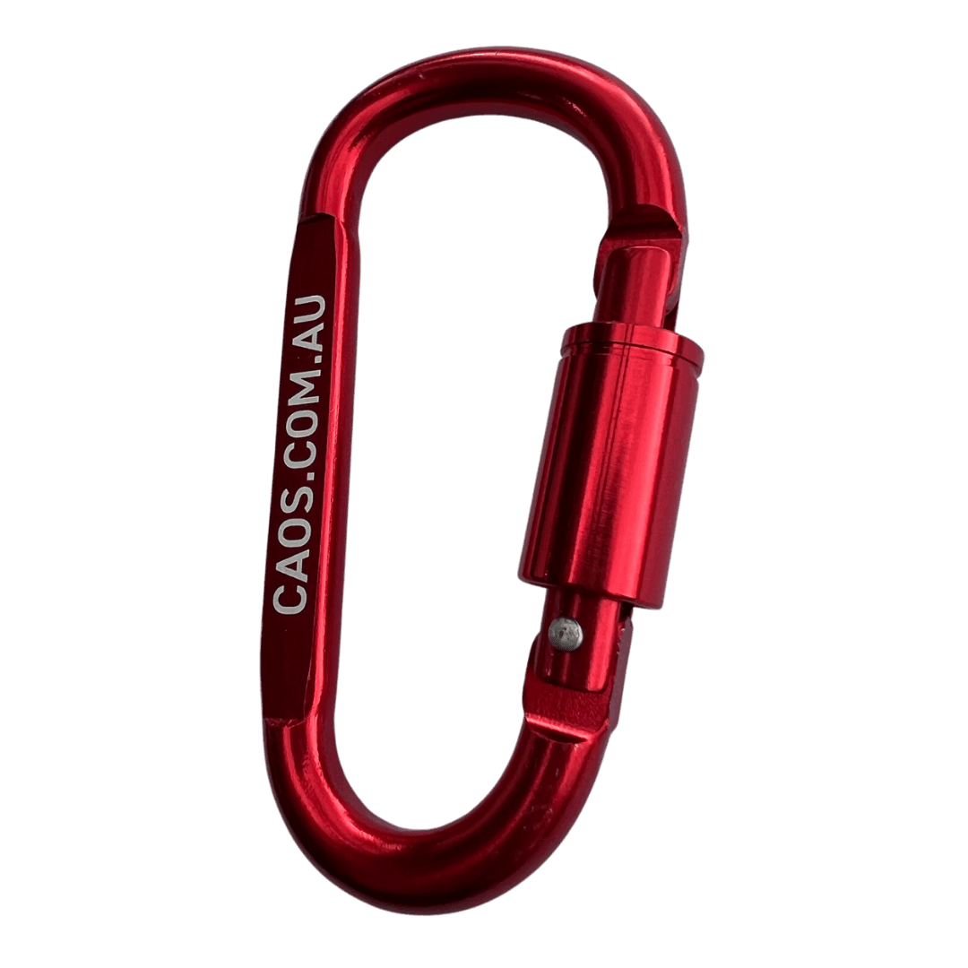 CAOS 4Pk Carabiner Snap Hook & Lock